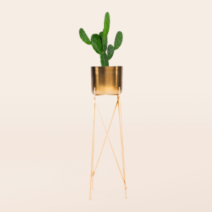 עציץ נוי ממתכת זהב