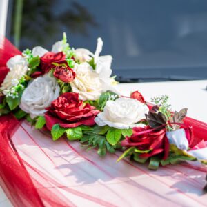 פקחים שזורים לקישוט הרכב