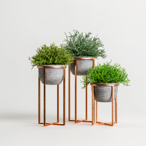 שלשיית עציצי נוי